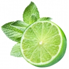 Flavourart Aroma Lime Distillato 10ml