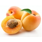 Perfumer's Apprentice Aroma Apricot (Albicocca) 10ml